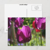 Carte Postale Tulipes pourpres 2007 (Devant / Derrière)