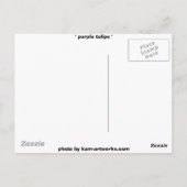 Carte Postale Tulipes pourpres 2007 (Dos)