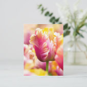 Carte Postale Tulipes proches (Debout devant)