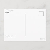 Carte Postale Tulipes rose corail (Dos)