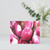Carte Postale Tulipes roses (Debout devant)