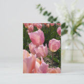 Carte Postale Tulipes roses (Debout devant)