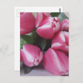 Carte Postale Tulipes roses (Devant / Derrière)