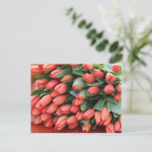 Carte Postale tulipes roses (Debout devant)