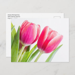 Carte Postale Tulipes roses avec Feuille vert photo