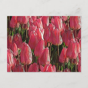 Carte Postale Tulipes roses florales