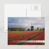 Carte Postale Tulipes rouges et moulin à vent (Devant / Derrière)