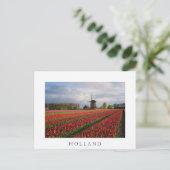 Carte Postale Tulipes rouges et moulin à vent (Debout devant)