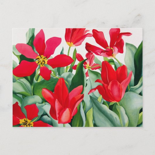 Carte Postale Tulipes Shakespeare (Devant)