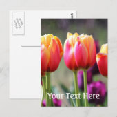 Carte Postale Tulipes tombées flammes (Devant / Derrière)