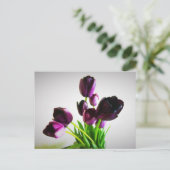 Carte Postale Tulipes Violet Foncé (Debout devant)