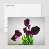 Carte Postale Tulipes Violet Foncé (Devant / Derrière)