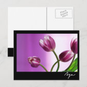 Carte Postale tulipes violettes (Devant / Derrière)