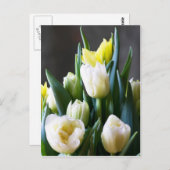 Carte postale Tulips (Devant / Derrière)