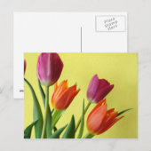 Carte postale Tulips (Devant / Derrière)