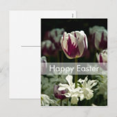 Carte postale Tulips | Carte postale de Pâques (Devant / Derrière)