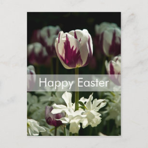 Carte postale Tulips Carte postale de Pâques
