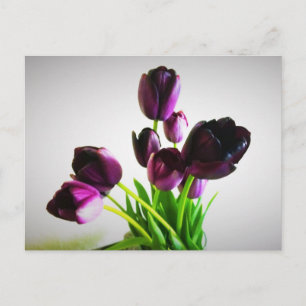 Carte Postale Tulips de Dark