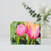 CARTE POSTALE TULIPS DE PRINTEMPS (Debout devant)
