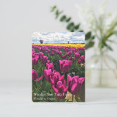 Carte Postale Tulips de Purple (Debout devant)
