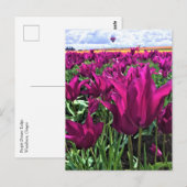 Carte Postale Tulips de Purple (Devant / Derrière)