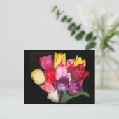 Carte Postale Tulips dit tout (Debout devant)