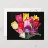 Carte Postale Tulips dit tout (Devant / Derrière)