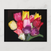 Carte Postale Tulips dit tout (Devant)