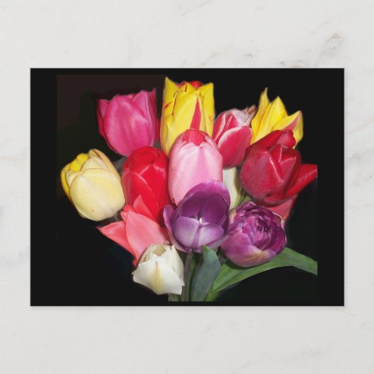 Carte Postale Tulips dit tout (Devant)