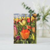 Carte Postale Tulips du Colorful (Debout devant)