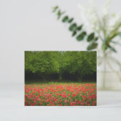 Carte Postale Tulips et Trees (Debout devant)