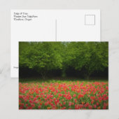 Carte Postale Tulips et Trees (Devant / Derrière)