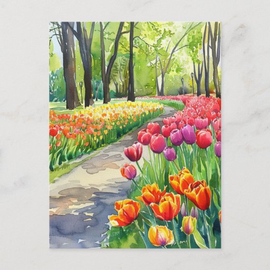 Carte Postale Tulips in The Park (Devant)