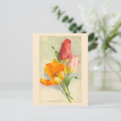 Carte Postale Tulips par Catherine Klein (Debout devant)