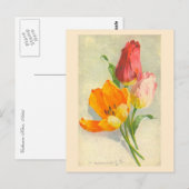 Carte Postale Tulips par Catherine Klein (Devant / Derrière)