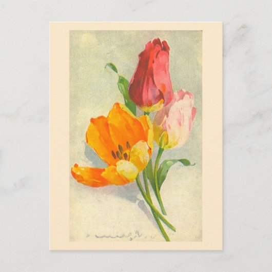 Carte Postale Tulips par Catherine Klein (Devant)