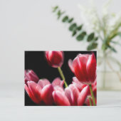 CARTE POSTALE TULIPS ROSE COMMENCÉ (Debout devant)