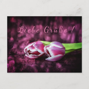 Carte Postale Tulpen Gruß