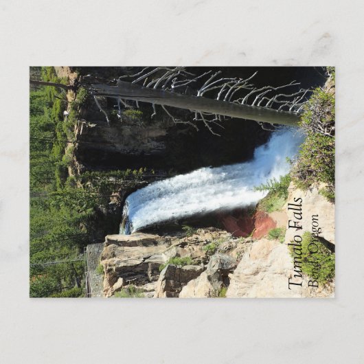 Carte Postale Tumalo Falls (Devant)