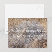 Carte Postale Tumbleweed Moment Sarcastic Postcard (Devant / Derrière)