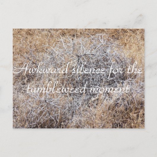 Carte Postale Tumbleweed Moment Sarcastic Postcard (Devant)