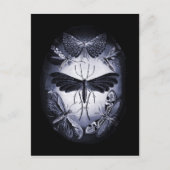 Carte Postale Tumées de champignons à la lumière du crépuscule (Devant)