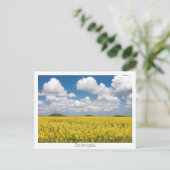 Carte Postale Tumuli (Debout devant)