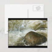 Carte Postale Tumulte de l'Aven BRETAGNE (Devant / Derrière)