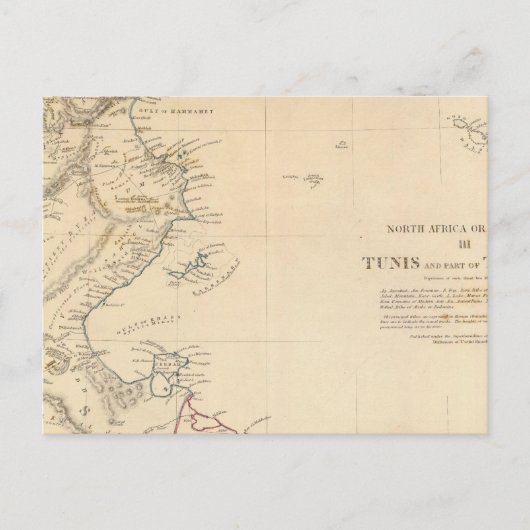 Carte Postale Tunis, Tripoli (Devant)
