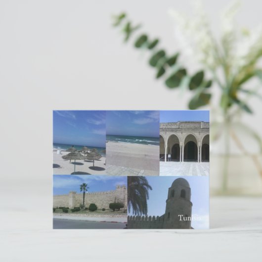 Carte postale Tunisie (Debout devant)