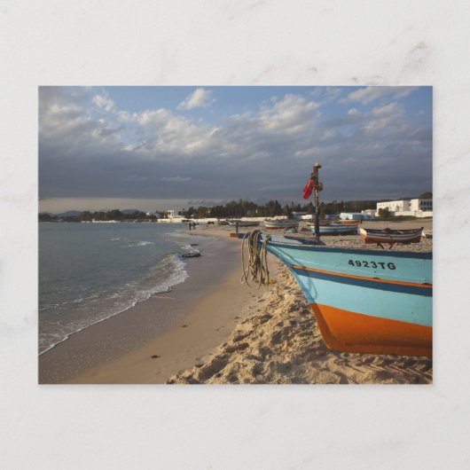 Carte Postale Tunisie, Cap Bon, Hammamet, front de mer, (Devant)