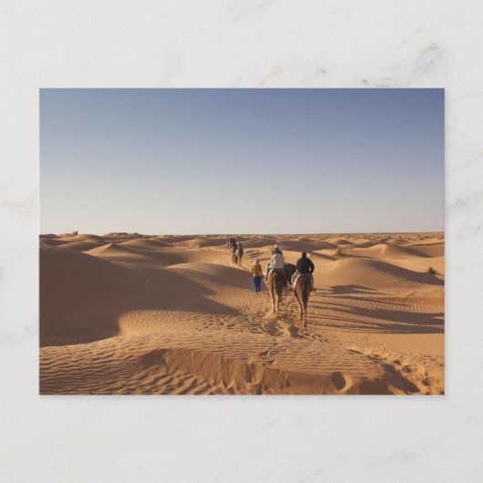 Carte Postale Tunisie, Ksour Area, Ksar Ghilane, Grand Erg 7 (Devant)