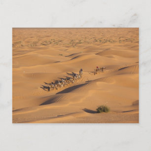 Carte Postale Tunisie, région des Ksour, Ksar Ghilane, Grand Erg