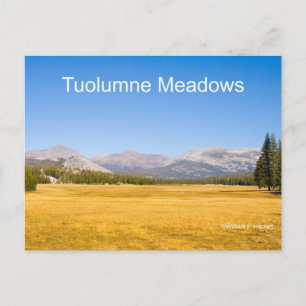 Carte Postale Tuolumne Meadows Yosemite California Produits